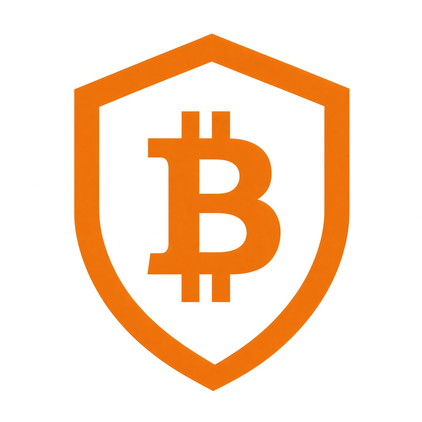 Never Lose Bitcoin